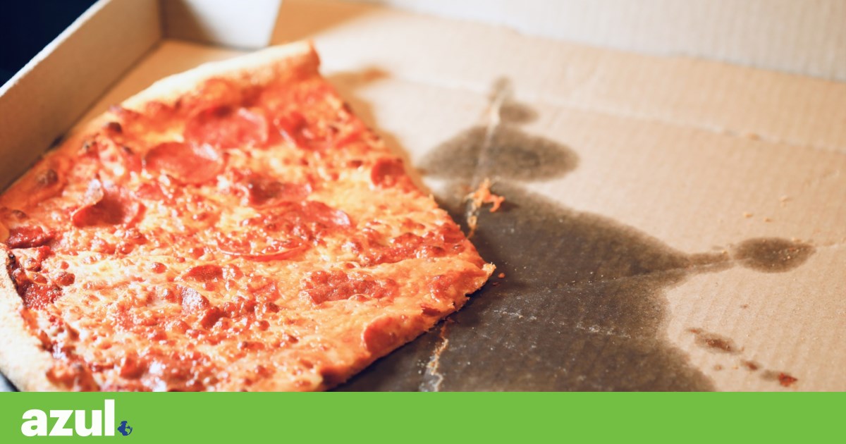 Caixas de pizza com gordura podem ir para o ecoponto azul? Sim! | Mitos ambientais