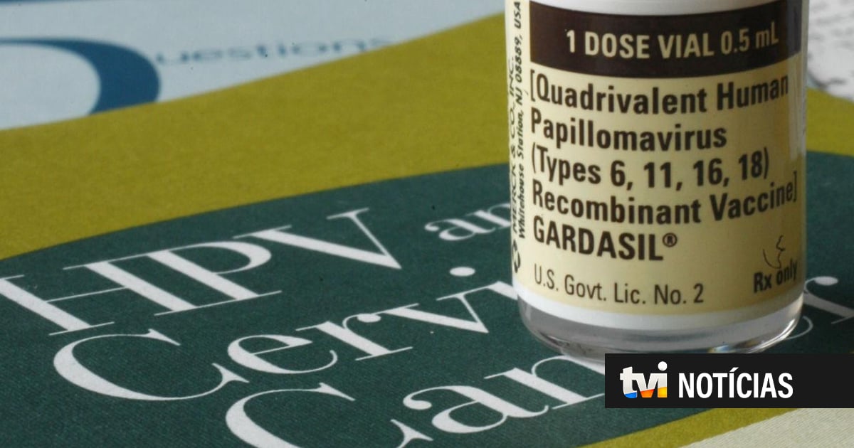 Liga contra o Cancro saúda alargamento da vacina HPV aos 26 anos e pede extensão a mais idades
