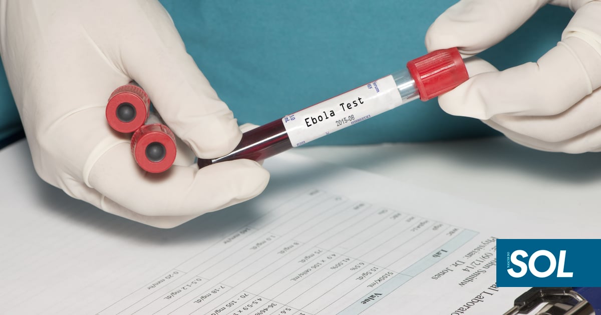 Brasil. Autoridades de saúde investigam duas possíveis infeções por ébola: ambos os pacientes estiveram em países africanos