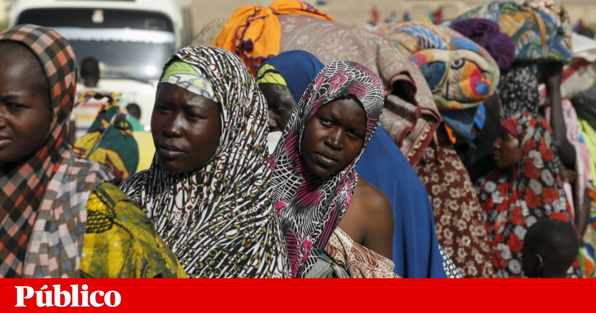 Boko Haram liberta centenas de mulheres e crianças sequestradas em Ngoshe | Nigéria