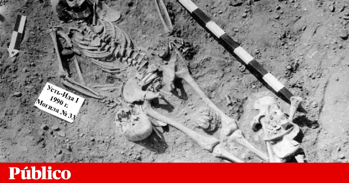 Surto de peste mais antigo de que há registo ocorreu há 5500 anos na Sibéria | História