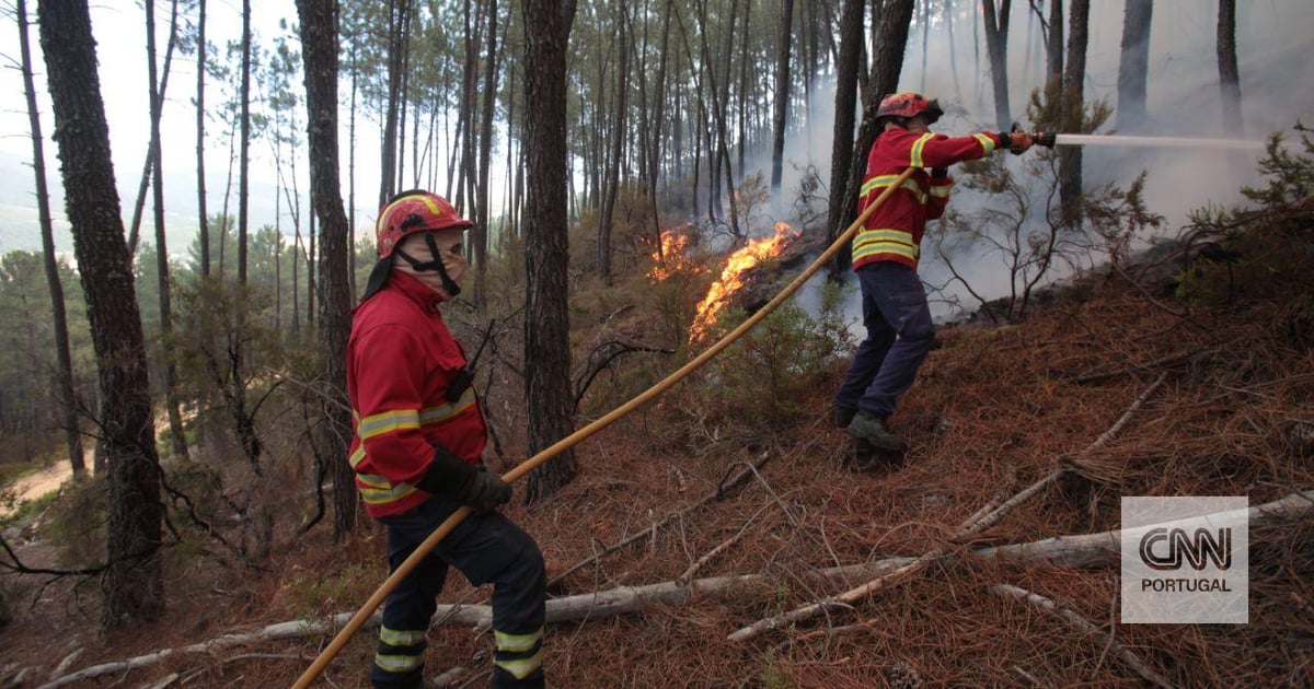 Apanhada por populares que chamaram a GNR: mulher detida por suspeita de atear incêndio em Viseu