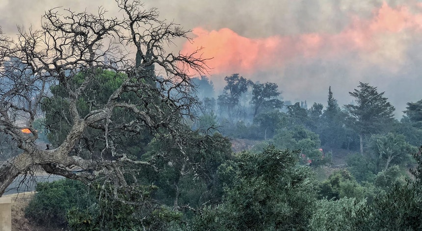 Cerca de 150 operacionais e quatro meios aéreos combatem fogo em Monchique
