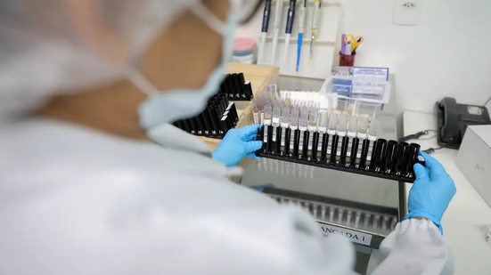 Cientistas da Fiocruz avançam no desenvolvimento de vacina contra malária
