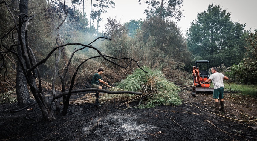 Incêndio em França destapa centenas de projéteis da Segunda Guerra Mundial