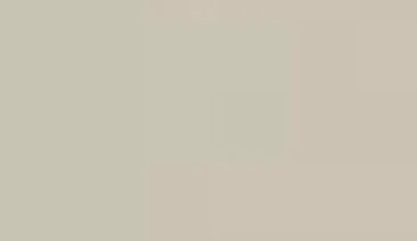 Jucăria deloc ieftină pentru care părinții plătesc fericiți banii. „E un trend, dar sper să țină”