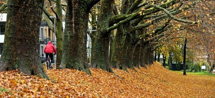 Prognoza vreme. Sursa foto: Profimedia