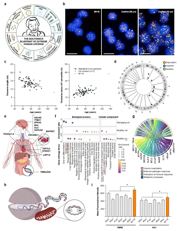 Rezultatul studiului legat de cea mai longevivă persoană din lume, Maria Branyas Foto Manel Esteller