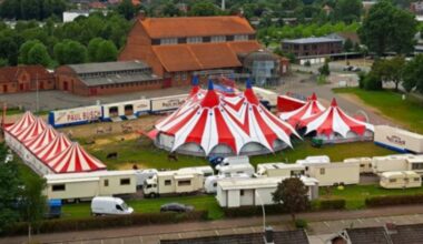 Tragedie în arena de circ. O acrobată a murit după ce a căzut de la trapez în timpul unei reprezentaţii cu public
