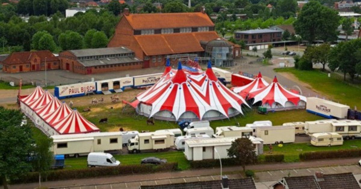 Tragedie în arena de circ. O acrobată a murit după ce a căzut de la trapez în timpul unei reprezentaţii cu public