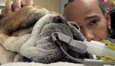 Lewis Hamilton și-a pierdut cel mai bun prieten. Roscoe a murit în brațele pilotului, după patru zile de suferință