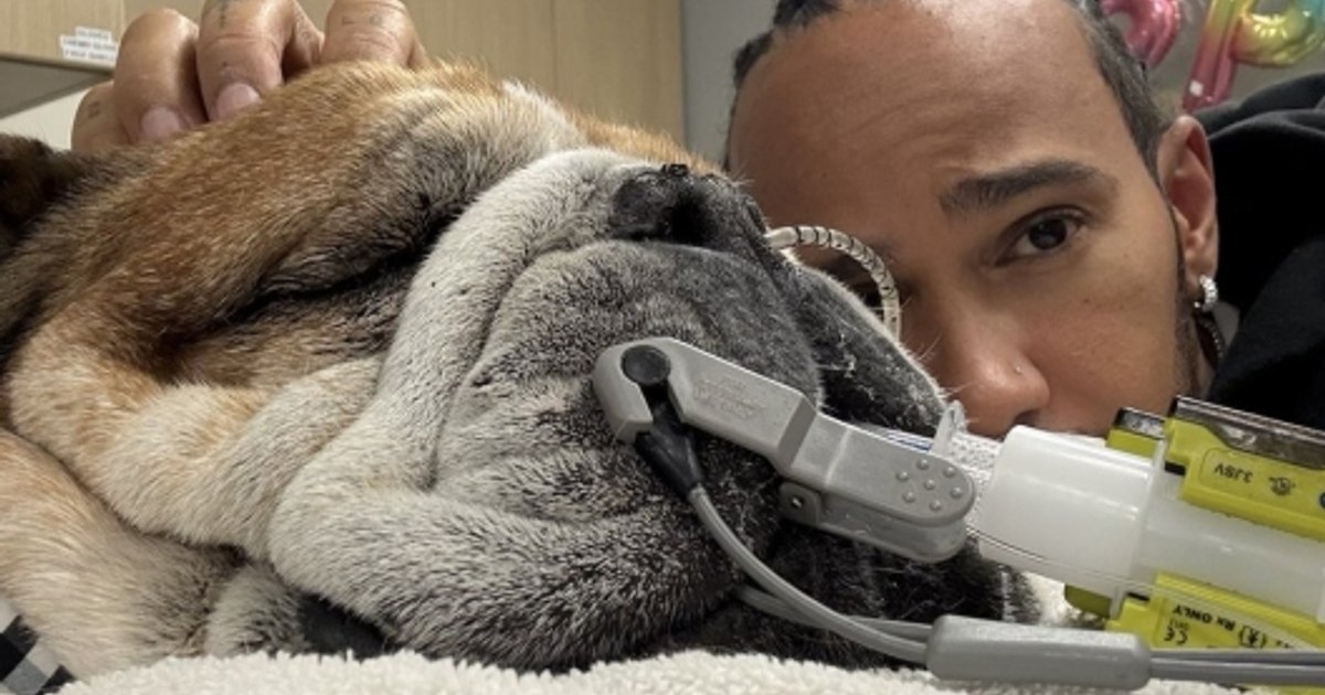 Lewis Hamilton și-a pierdut cel mai bun prieten. Roscoe a murit în brațele pilotului, după patru zile de suferință