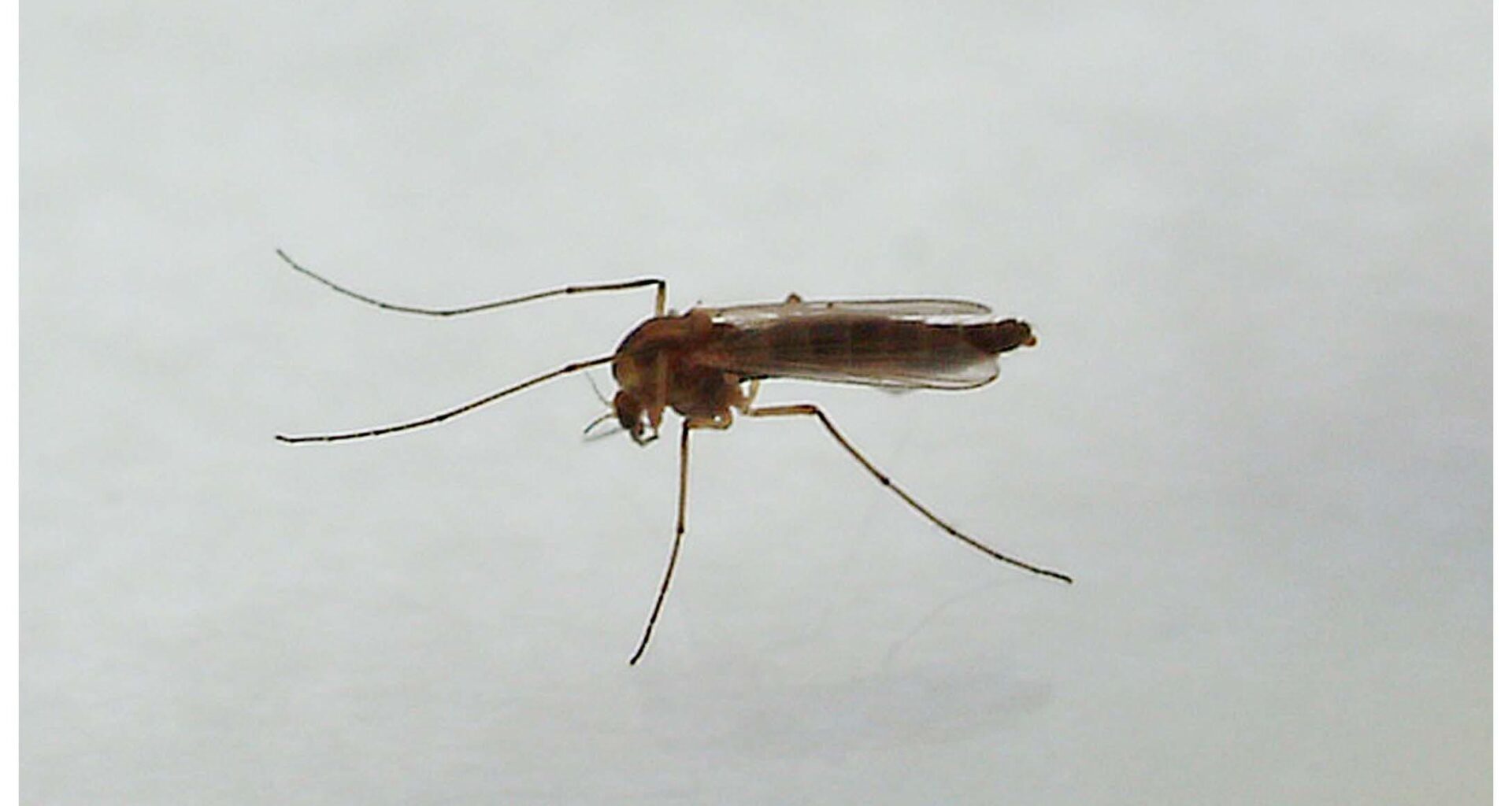 30 de cazuri de infecție. Care este categoria cea mai vulnerabilă