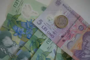 bani, lei, finante, bancnote, euro, 5 lei