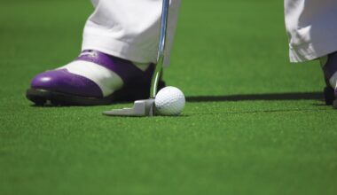 Insulte şi securitate sportivă la Ryder Cup. Echipa de golf Europei, aproape de victorie în fața echipei Statelor Unite