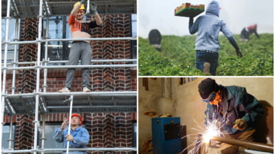 „Meseriile viitorului”. Locurile de muncă imune la „boom-ul” inteligenței artificiale: Reziliente și bănoase