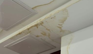 VIP, dar nu prea! Primele probleme la stadionul din Giulești, la 3 ani de la inaugurare » Imaginile surprinse de GSP înainte de Dumbrăvița