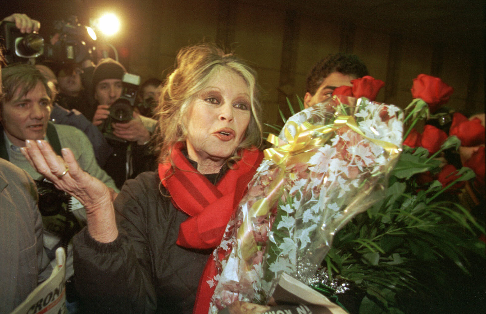 Brigitte Bardot, internată de trei săptămâni în spital. Starea actriței, „îngrijorătoare”