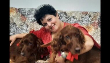 O româncă a fost condamnată definitiv în Italia, după ce a ținut opt ani o pensionară italiană în Galaţi și i-a golit conturile