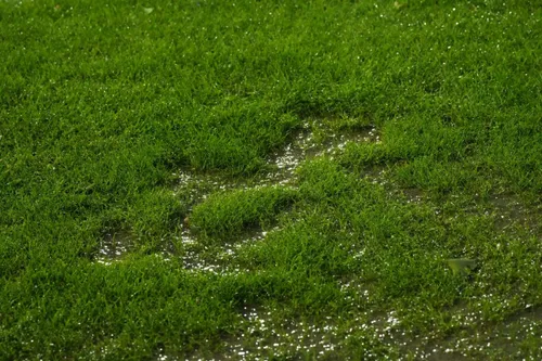 Slobozia - Dinamo. Gazon horror (8).jpg