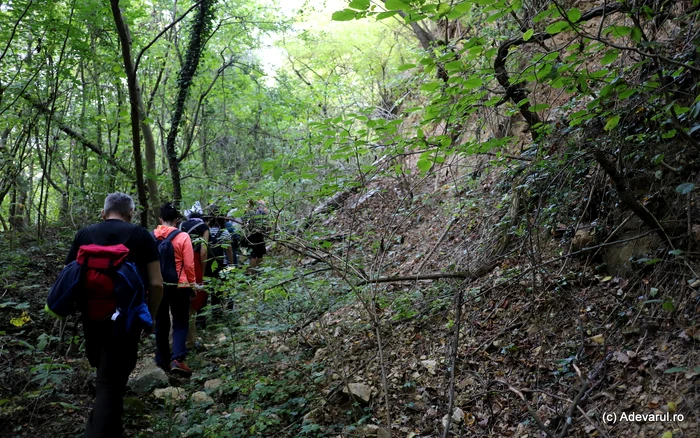 Natura oferă numeroase motive pentru a o explora toamna. Foto: Daniel Guță ADEVĂRUL