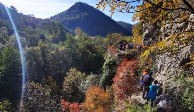 Cele mai utile sfaturi pentru drumeții de toamnă pe munte. „Dacă un urs dă semne că vrea să vă urmărească...”