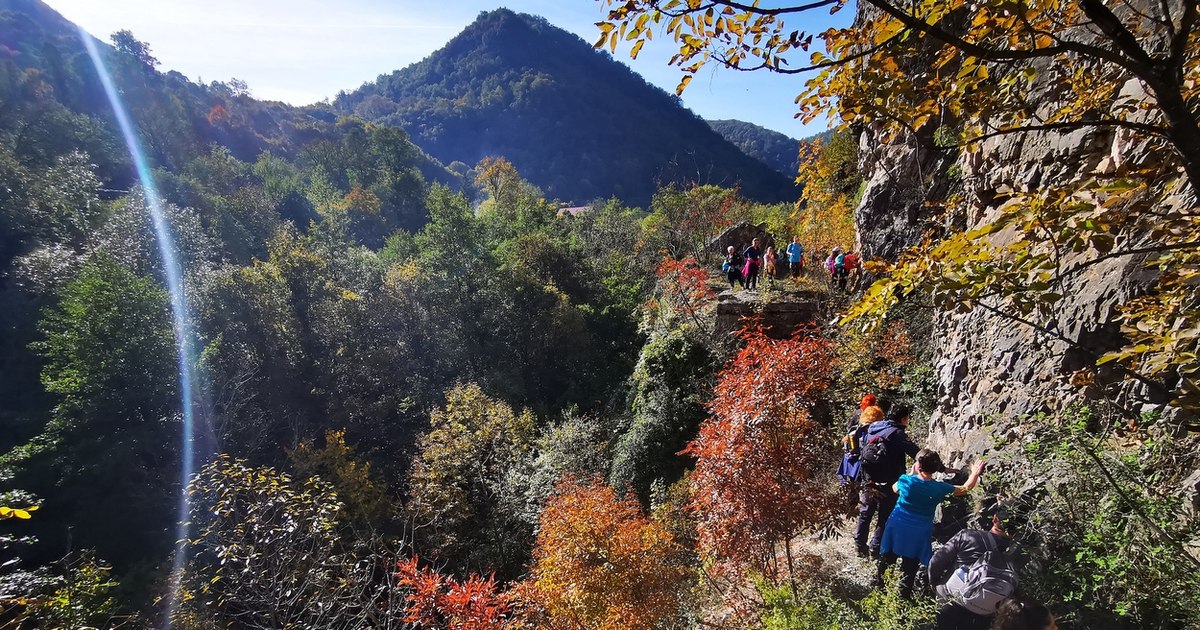 Cele mai utile sfaturi pentru drumeții de toamnă pe munte. „Dacă un urs dă semne că vrea să vă urmărească...”