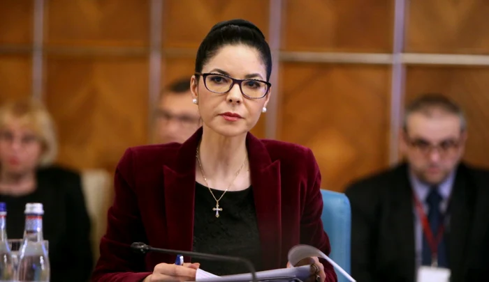Ana Birchall respinge acuzațiile că ar fi oferit să devină agent CIA FOTO: Gov.ro
