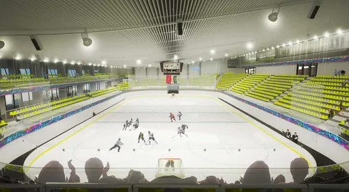 Patinoar Flamaropol 2.jpg