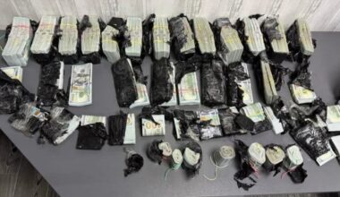 O ucraineancă a încercat să intre în România cu un milion de dolari ascunși sub capota unui Mercedes