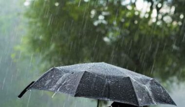 Se răcește brusc în toată țara. Temperaturi negative și brumă în nord, ploi în sud. Prognoza meteo pentru următoarea săptămână