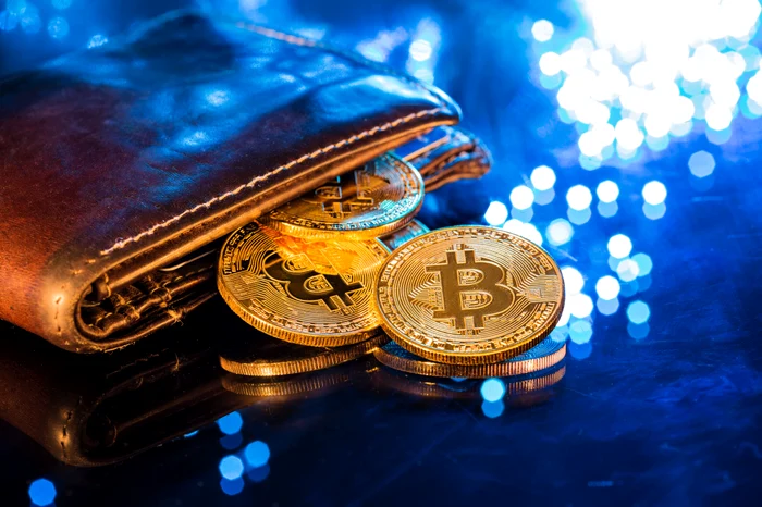 Bitcoin, criptomonede, portofel virtual FOTO Shutterstock 