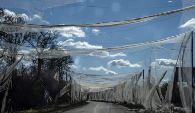 Cea mai mare provocare pentru soldații ucraineni din prima linie pe un câmp de luptă saturat de drone