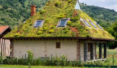 Casele de la sate vor putea fi construite fără autorizație. Ministrul Cseke Attila explică în ce condiții