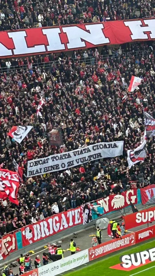 Mesajele galeriei lui Dinamo la adresa Rapidului