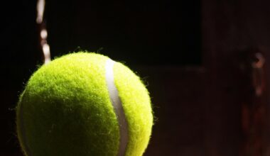 Scandal uriaș în tenis: zeci de meciuri aranjate în circuitul profesionist. „Caracatița” a ajuns și în România