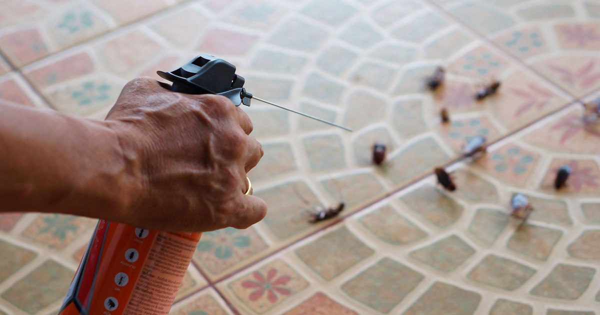 Un bloc a luat foc după ce o locatară a încercat să ardă un gândac cu o brichetă și un spray. O mamă a murit în timp ce încerca să-și salveze copilul