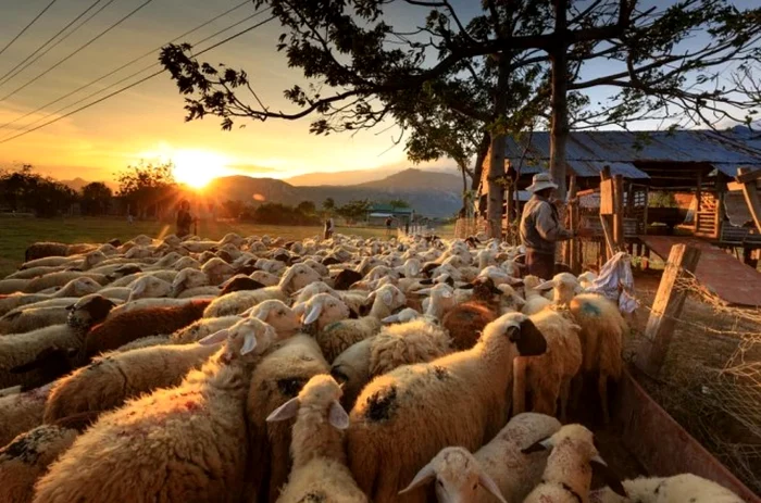 FOTO: Arhivă Adevărul