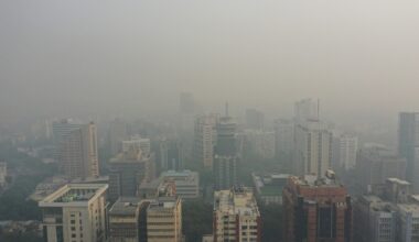 india, new delhi, poluare, smog