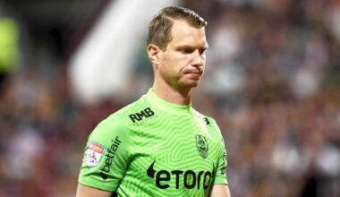 „Niște zburători care s-au lipit de patron”