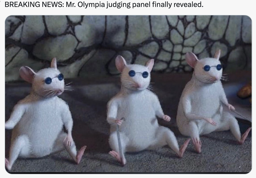 George Miron, unul dintre cei mai apreciați culturiști ai momentului din România, dă verdictul după ce s-a întâmplat zilele trecute la Mr. Olympia: „Asta contează foarte mult”