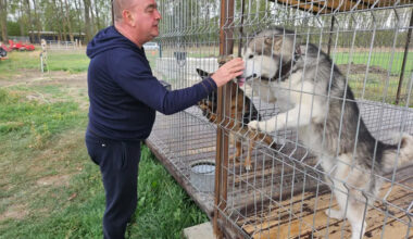 Afaceristul Gigi Nețoiu are câini pe care cere 20.000 de euro