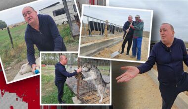 „Vă invit la coada vacii! Este cea mai modernă din Europa. Asta a fost visul meu din copilărie. Acum venit momentul să mi-l îndeplinesc”