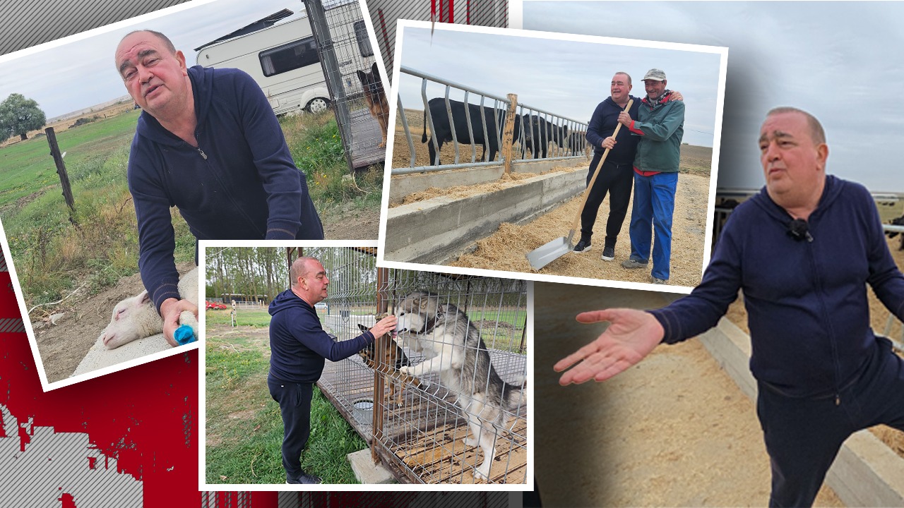 „Vă invit la coada vacii! Este cea mai modernă din Europa. Asta a fost visul meu din copilărie. Acum venit momentul să mi-l îndeplinesc”