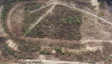 Hagi, pus pe hold. FOTO+VIDEO. Noul stadion din Constanța NU se mai face acum! Ce a rămas în urma vechii arene: vegetație și padel! Imagini GOLAZO.ro