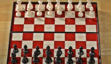 Federatia Română de Șah a semnat un parteneriat în valoare de 22,2 milioane de lei.