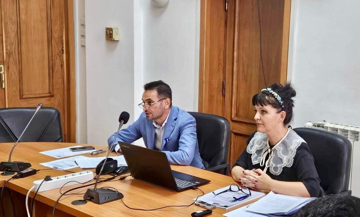 Judecătoare Petcu, Inspecția Judiciară