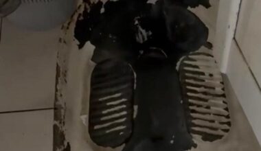 hotel sport flamanda protectia consumatorilor