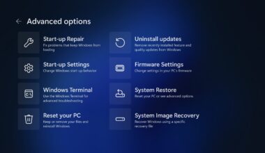 tastatura și mouse-ul nefuncționale în „recovery” după ultimul update