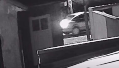 Soția lui Florinel Coman a publicat imaginile! Au dat târcoale casei: ”Tentația este mare”